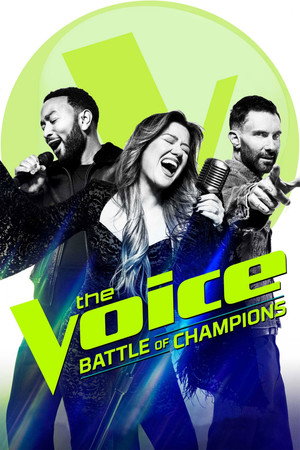 The Voice TV series (2011)