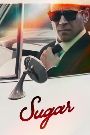 Sugar show recap